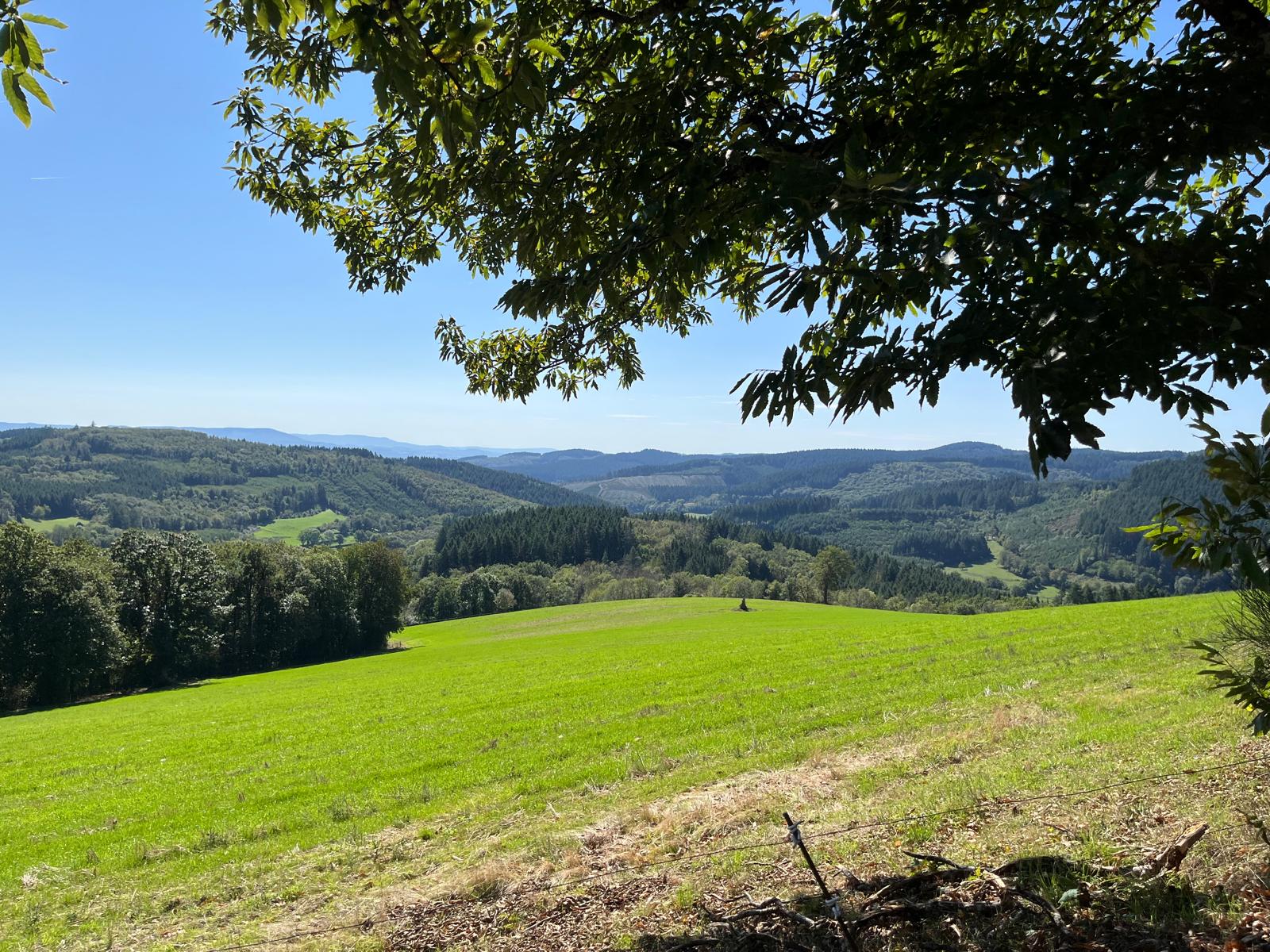 Paysage verdoyant dans le Morvan